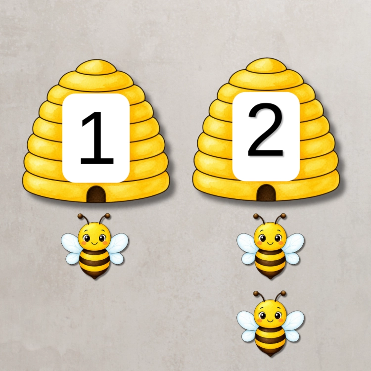 13.png
