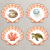 15.png