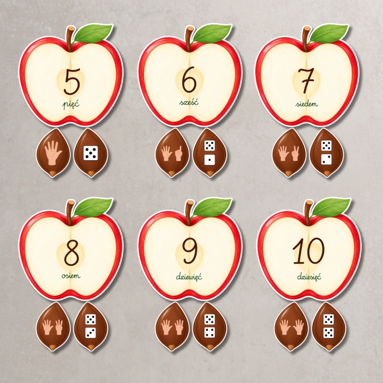 5.png