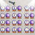 19.png